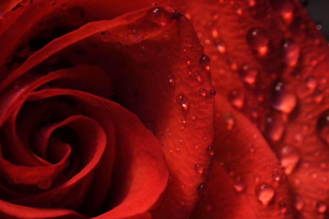 This is different,&nbsp;somehow